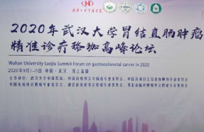武汉大学胃结直肠肿瘤粗准诊疗珞珈高峰论坛