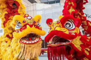 开业典礼,必有醒狮助兴,长盛不衰,历代相传