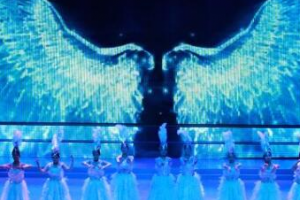 不同规模的活动公司究竟有何差别?