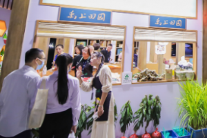 外场活动执行细则及外场活动策划方案内容