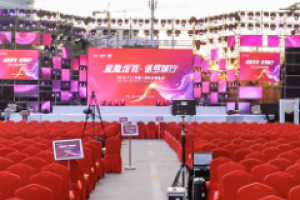 活动执行的工作内容和职责