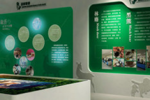 如何在展厅设计中体现公司品牌形象?