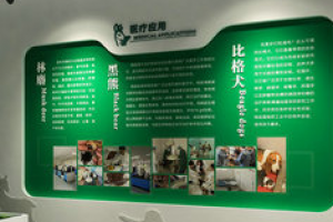 如何在展厅设计中体现公司品牌形象